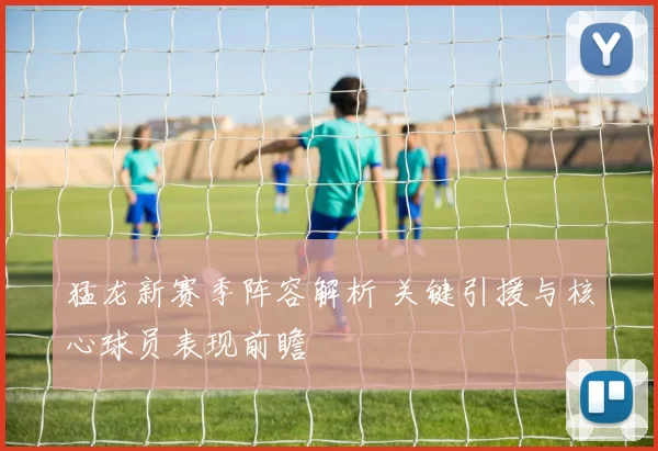 猛龙新赛季阵容解析 关键引援与核心球员表现前瞻