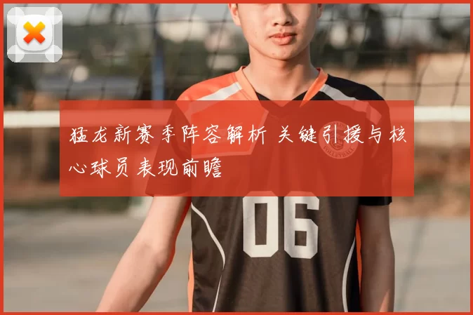 猛龙新赛季阵容解析 关键引援与核心球员表现前瞻