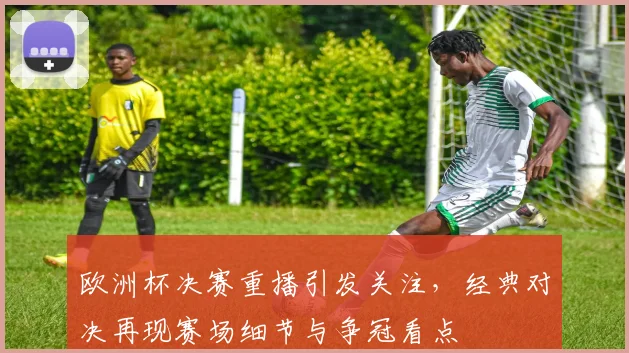 欧洲杯决赛重播引发关注，经典对决再现赛场细节与争冠看点